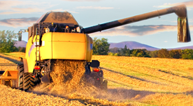 河南仙力面業有限公司